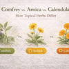 Comfrey vs Arnica vs Calendula: How Topical Herbs Differs