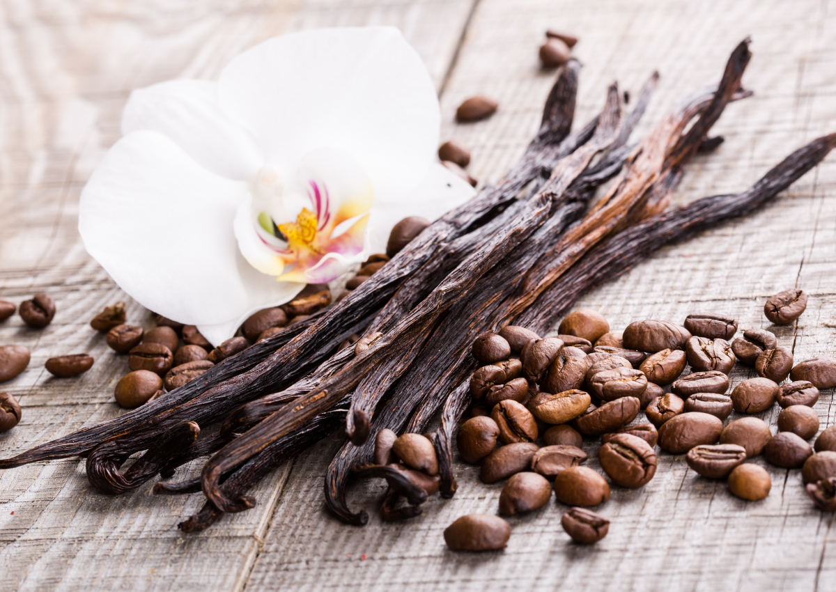 Benefits of Infused Vanilla for the Skin