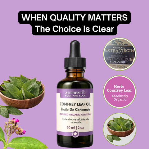 Comfrey Oil – Slow-Infused Organic Olive Oil