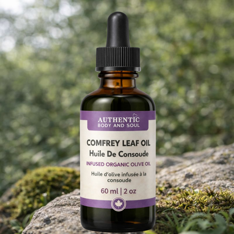 Comfrey Oil – Slow-Infused Organic Olive Oil