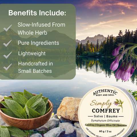 Simply Comfrey Leaf Salve